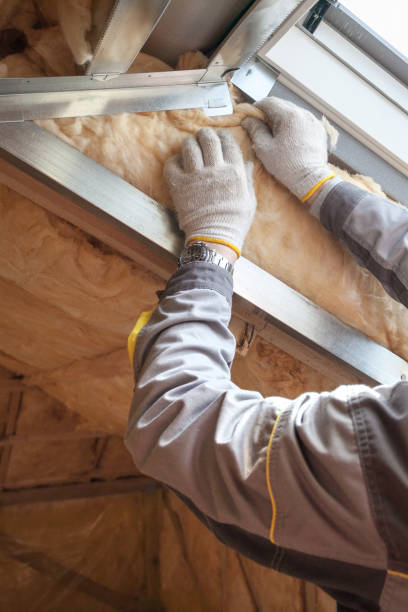 Best Specialized Insulation Services in Lake Arbor, MD