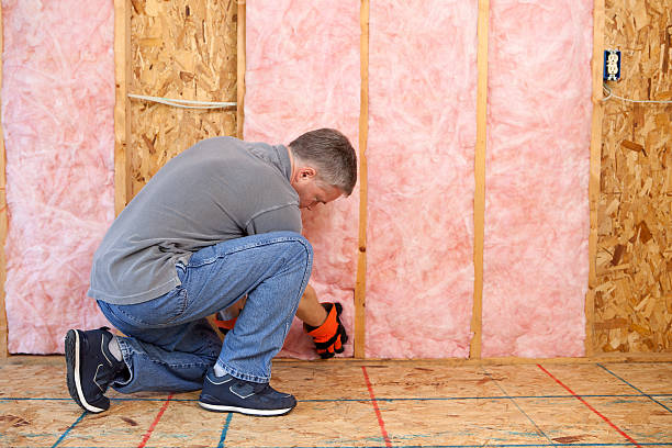 Best DIY Insulation Kits and Guidance in Lake Arbor, MD